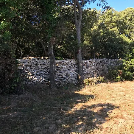 Casa Corsa - T4 De Standing Avec Grande Terrasse Et Jardin - Classe 4 Etoiles