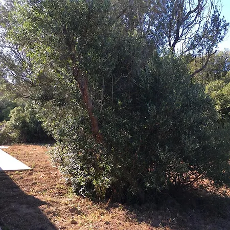 Casa Corsa - T4 De Standing Avec Grande Terrasse Et Jardin - Classe 4 Etoiles Дом отдыха Бонифачо